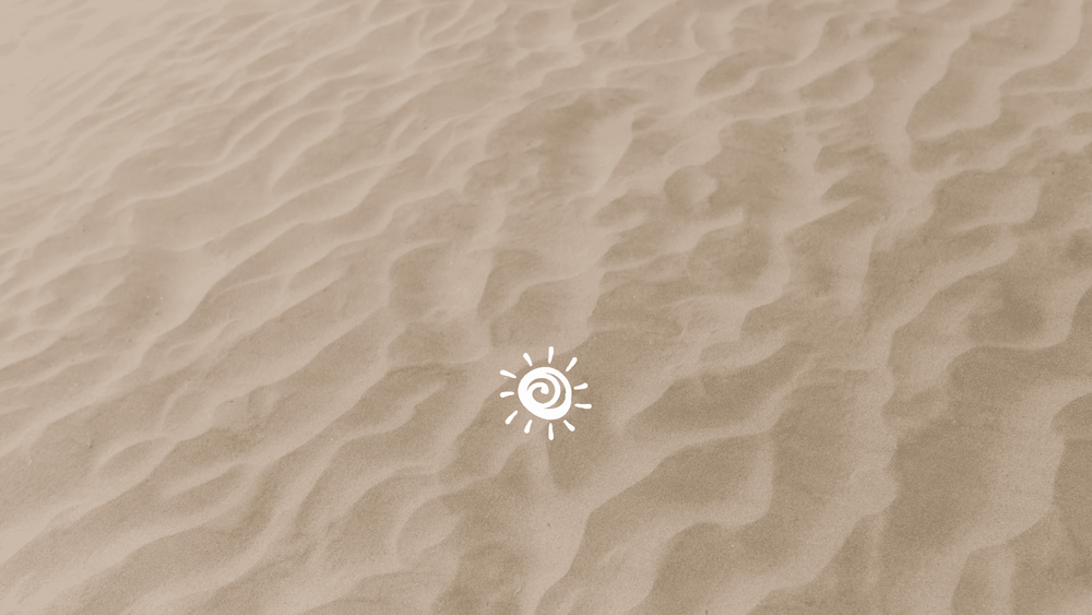 HAFKINY - plavky pro psy